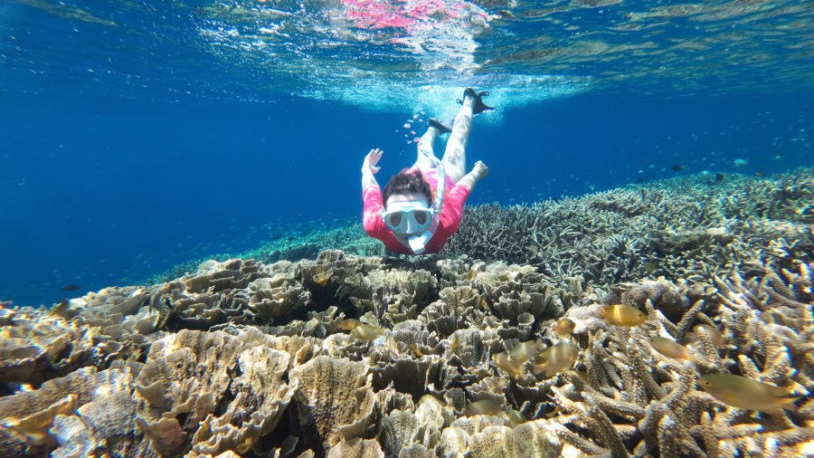 snorkeling in gili island